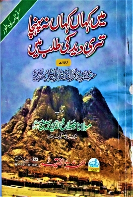 میں کہاں کہاں نہ پہنچا تیری دید کی طلب میں Cover